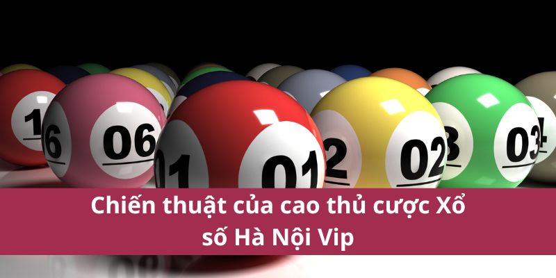 Chiến thuật của cao thủ cược Xổ số Hà Nội Vip